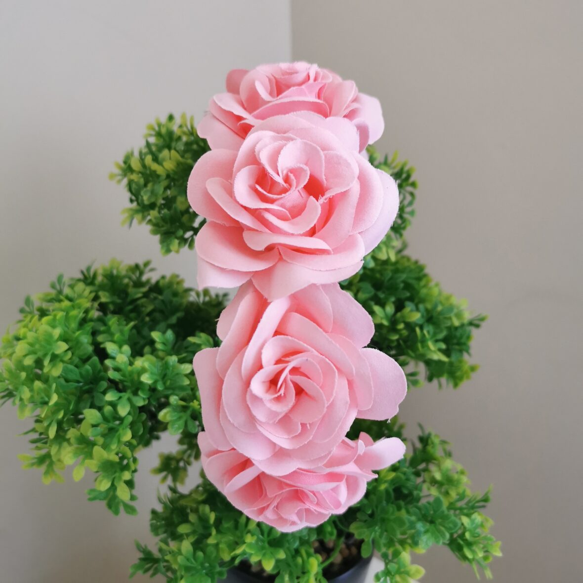 coronita roz